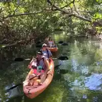 Wonderful kayak tour through the mangrove forest of Zanzibar contact us WhatsApp+255672973320Visit us www.ecokayakzanzib...